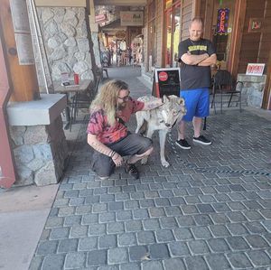 Meet your Posher, Blake